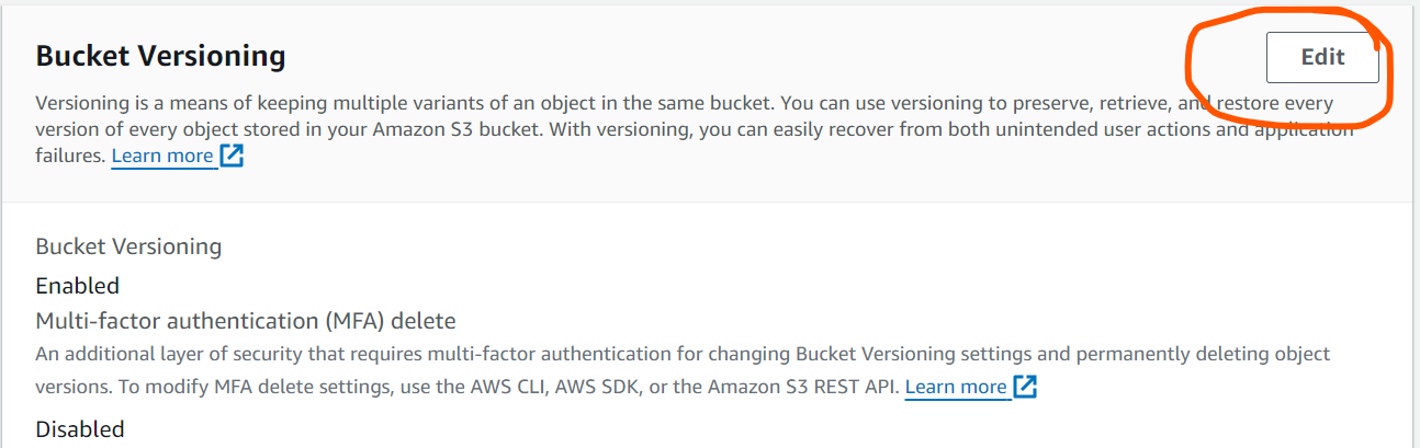 aws s3 bucket version 